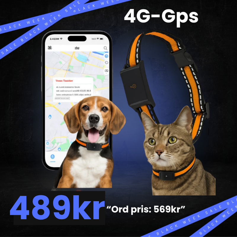 4G GPS-Tracker - BLACK WEEKS PRIS