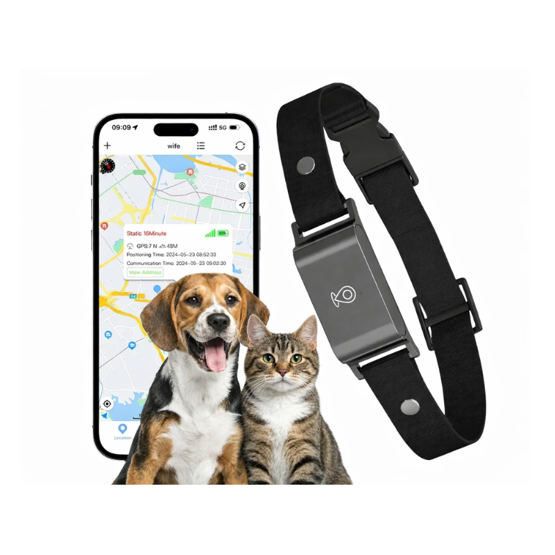 4G GPS för hund och katt
