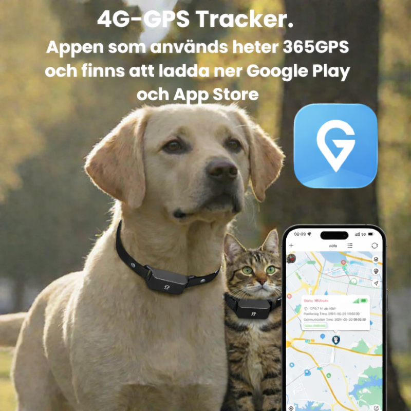 Hund och GPS tracking app