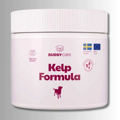 Kosttillskott-Buddycare-Kelp-Formula