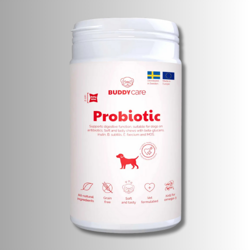 Kosttillskott-Buddycare-Probiotic