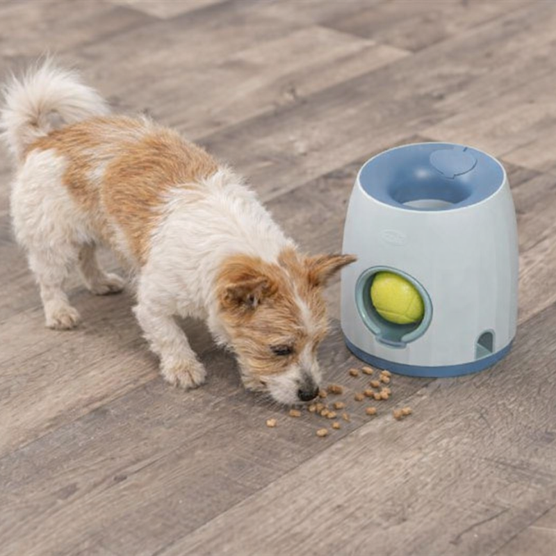 Hund leker med aktivitetsleksak