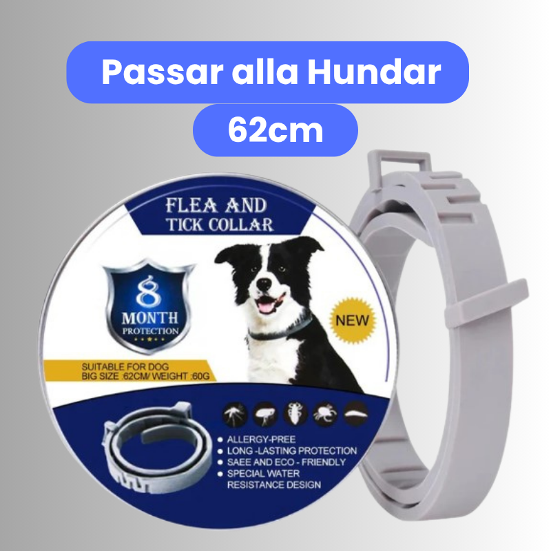 Fästinghalsband ör hundar