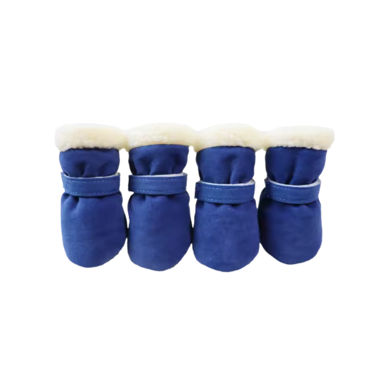 Blå fodrade vinter skor till hundar