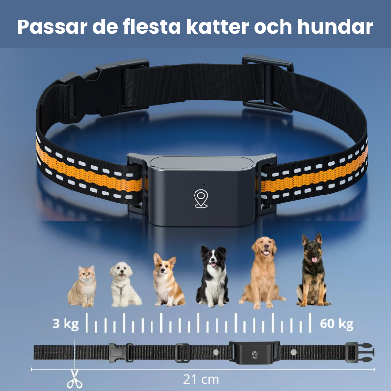 4-GPS halsband som visar att det passar både hund och katt