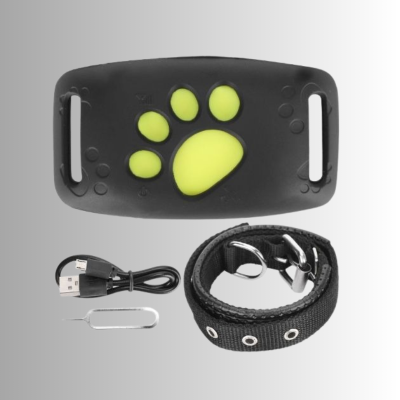 GPS-halsband för hund & katt - vattentålig tracker med lång batteritid