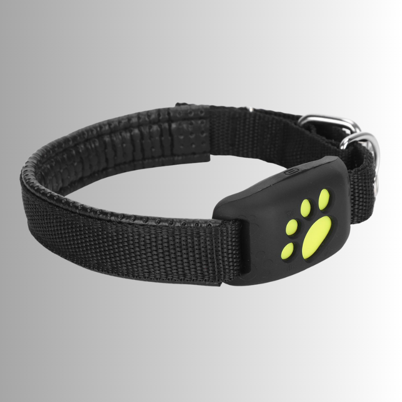 GPS-halsband för hund & katt - vattentålig tracker med lång batteritid