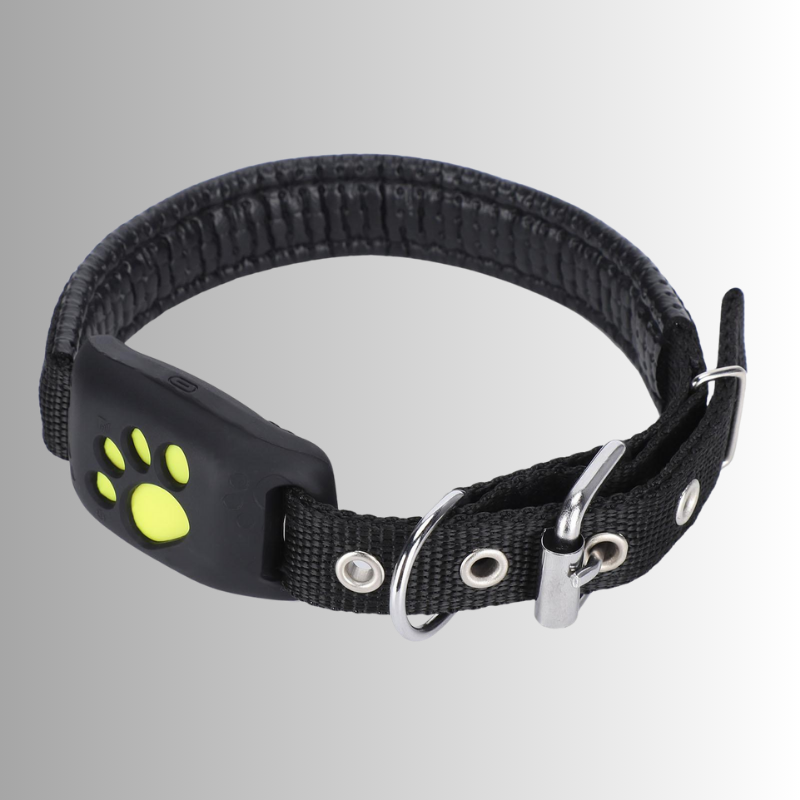 GPS-halsband för hund & katt - vattentålig tracker med lång batteritid