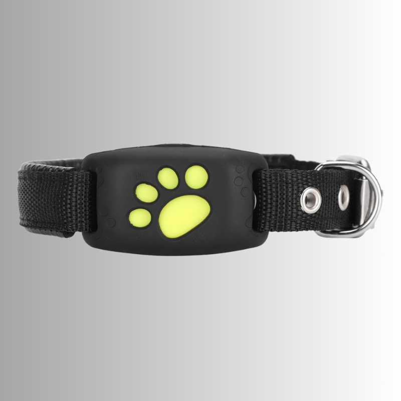 GPS-halsband för hund & katt - vattentålig tracker med lång batteritid