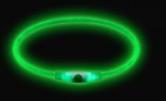 Grönt LED-halsband