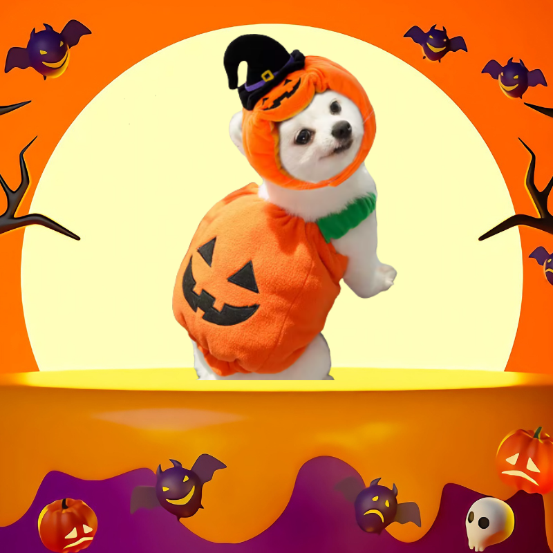 🎃 Halloween Kostym - Söt Pumpa för Hund & Katt