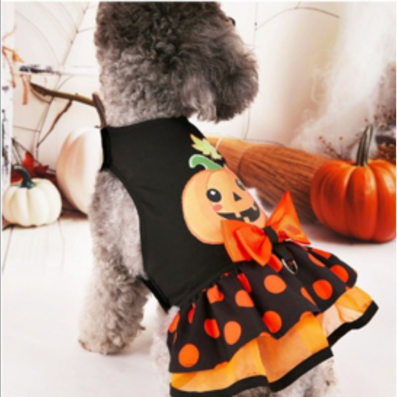 🎃 Halloween Klänning för Hund & Katt – Söt Pumpa-design 👻