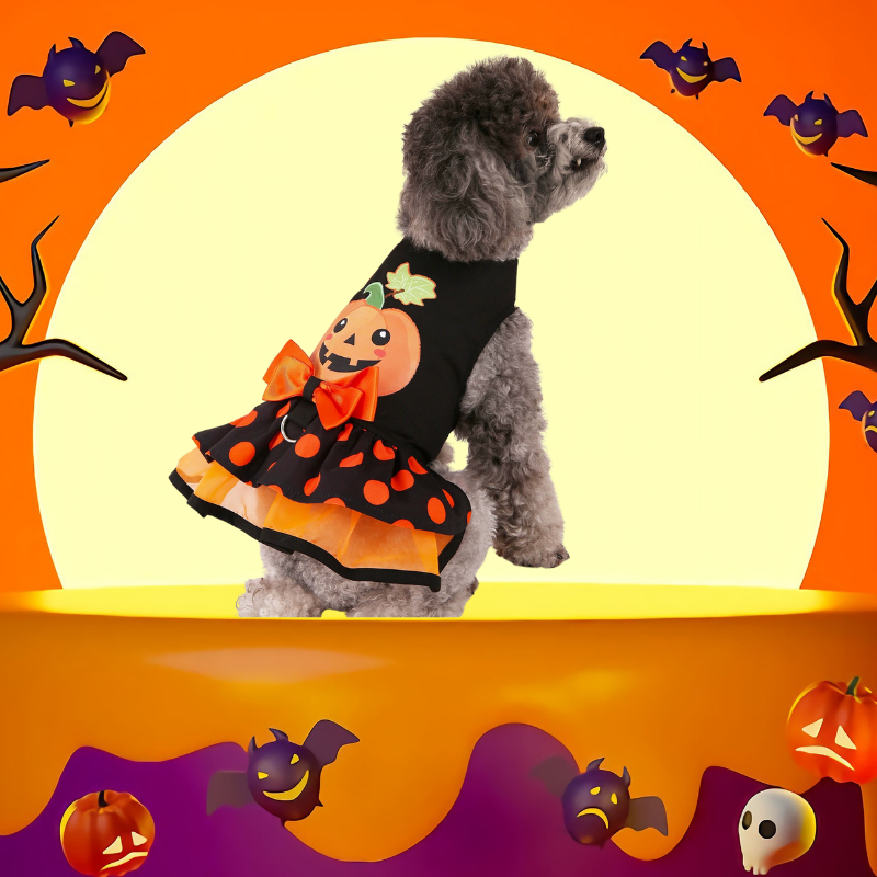 🎃 Halloween Klänning för Hund & Katt – Söt Pumpa-design 👻