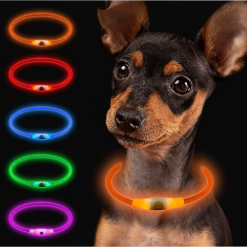 LED halsband lyser i 5 olika färger 