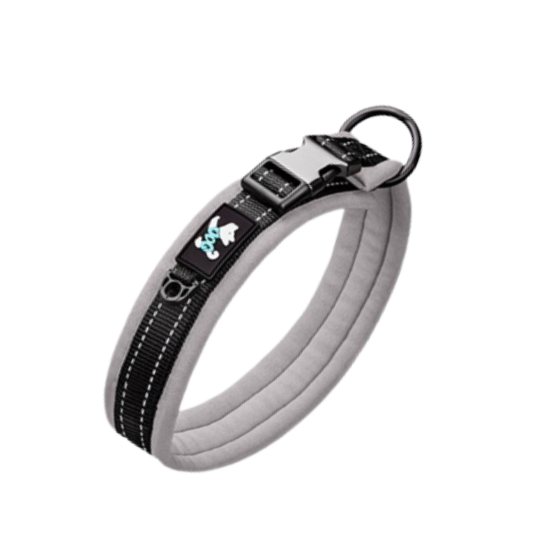 Grått hundhalsband med metall knäppe