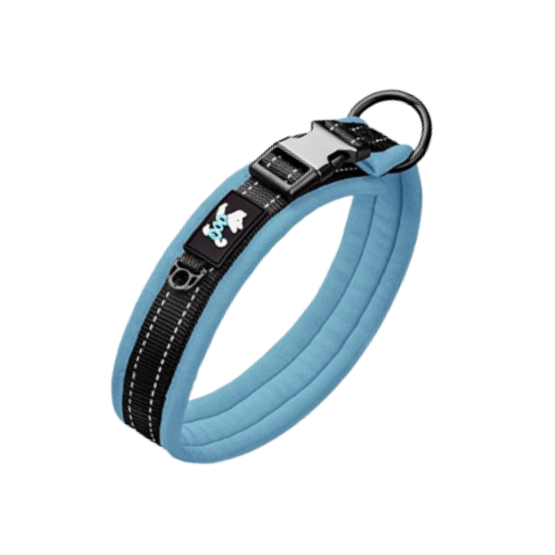 Blått hundhalsband med metall knäppe