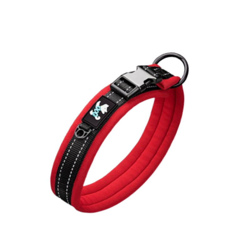 Rött hundhalsband med metall knäppe