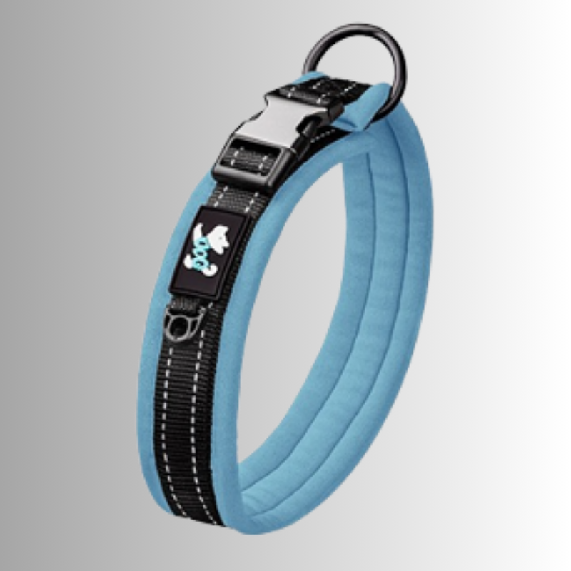 Blått hundhalsband