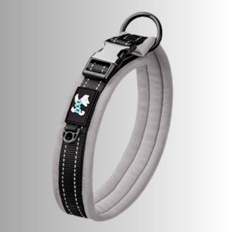 Grått halsband för hundar