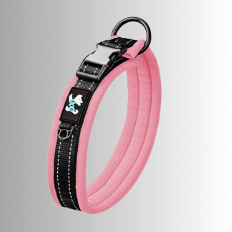 Rosa halsband för hundar