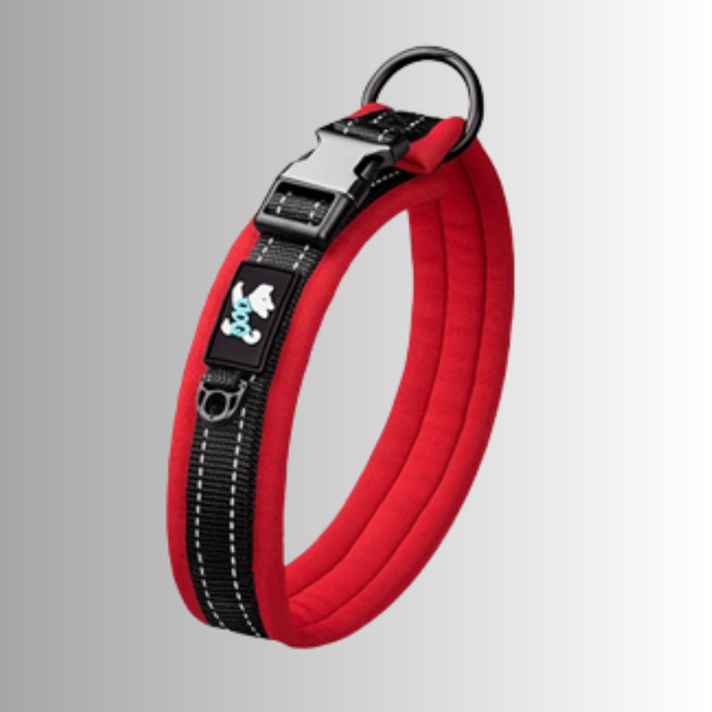 Rött halsband för hundar