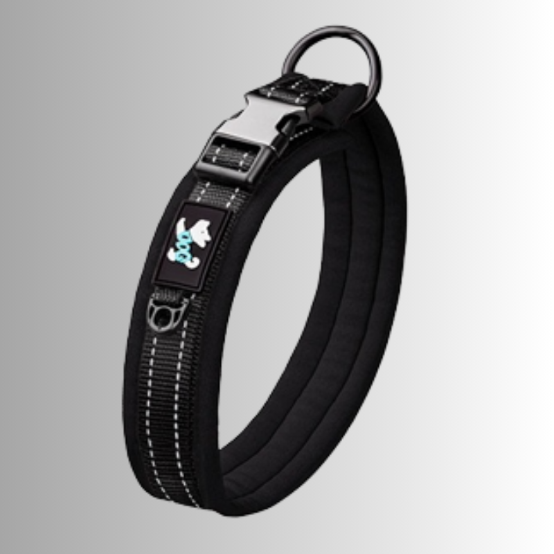 Svart halsband för hundar