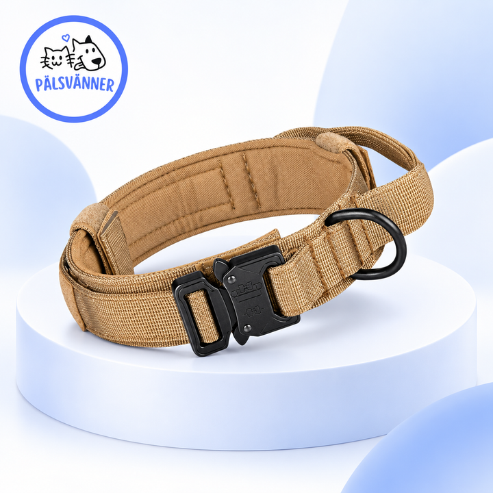 Starka och Säkra Hundhalsband