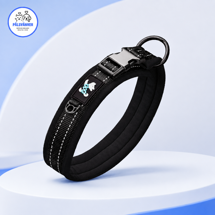 Neopren hundhalsband – mjukt, justerbart & bekvämt