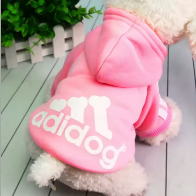 Hund med en rosa hoodie som det står Adidog på
