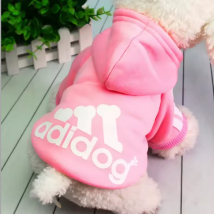 Hund med en rosa hoodie som det står Adidog på