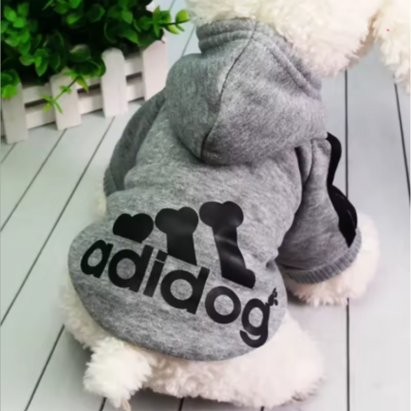Hund med en grå hoodie som det står Adidog på