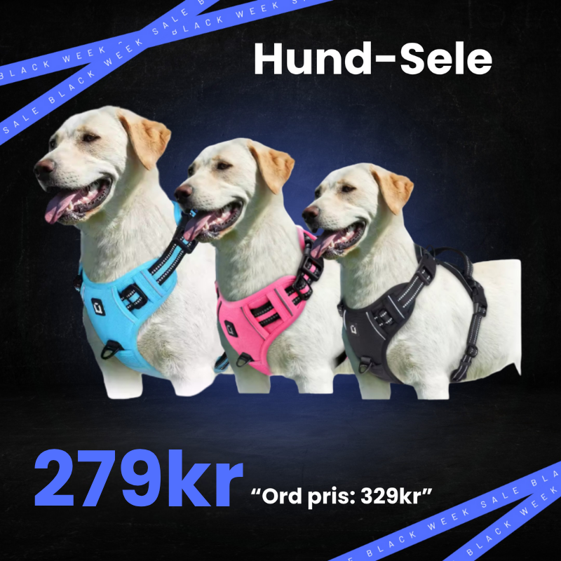 Antidrag Sele för Hundar - BLACK WEEKS