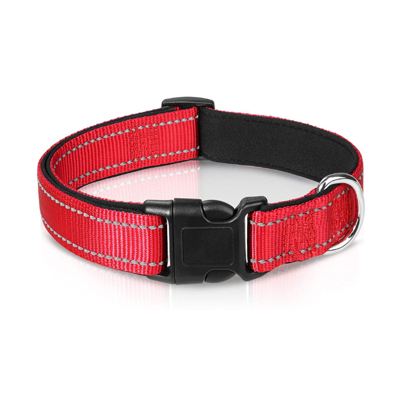 Rött hundhalsband med mjuk insida och reflekterande sömmar 