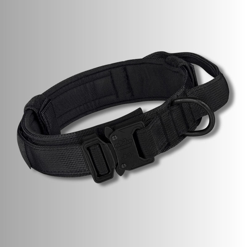 Starka och Säkra Hundhalsband