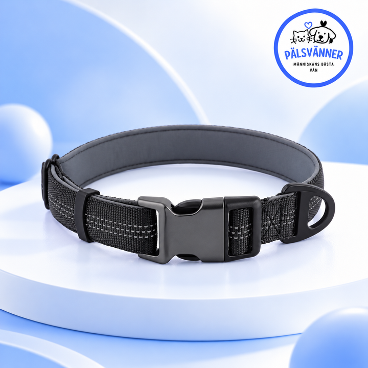 Reflekterande Hundhalsband – Mjukt & Justerbart