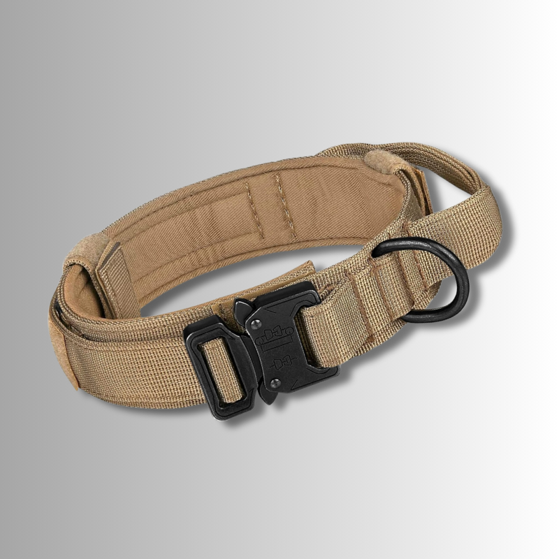 Starka och Säkra Hundhalsband