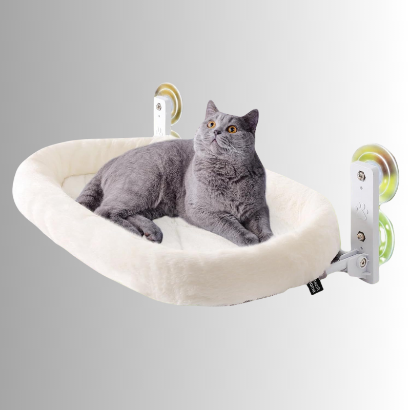 Fönstermonterad kattbäd med katt på