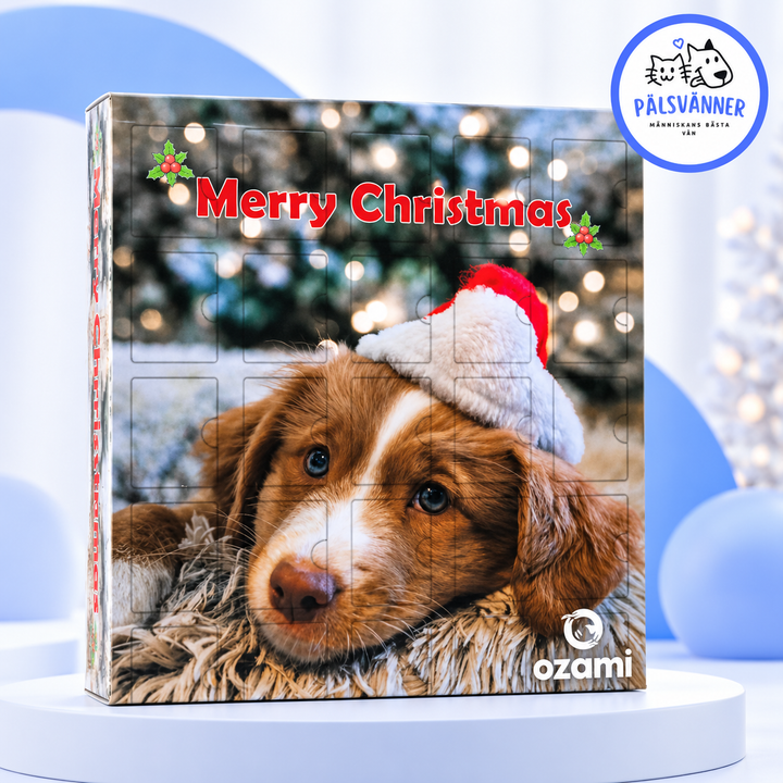 Ozami Adventskalender Hund