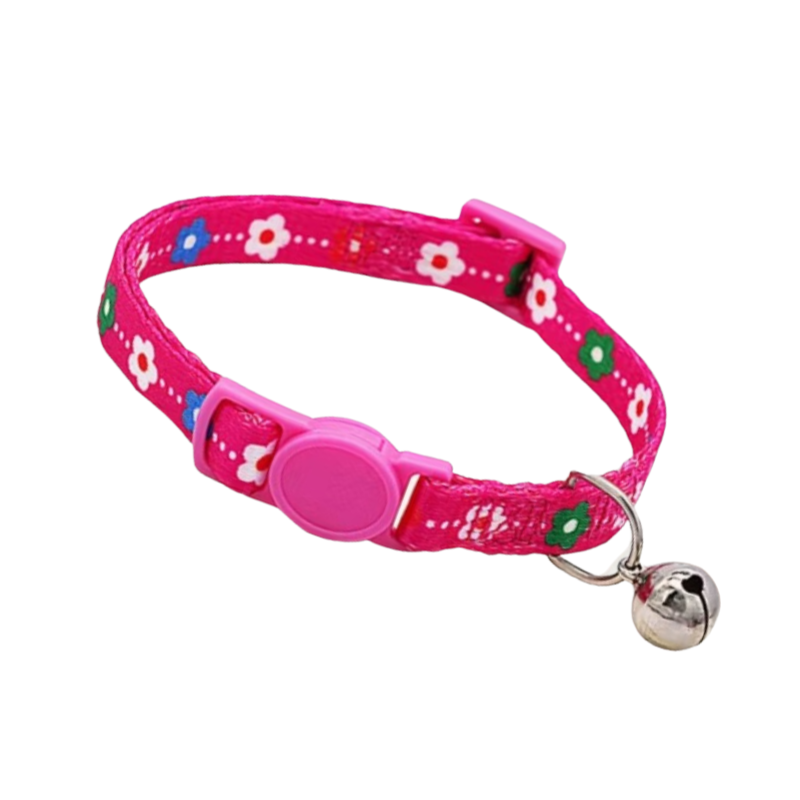 Katthalsband för katt - säkerhetslås för äventyrare