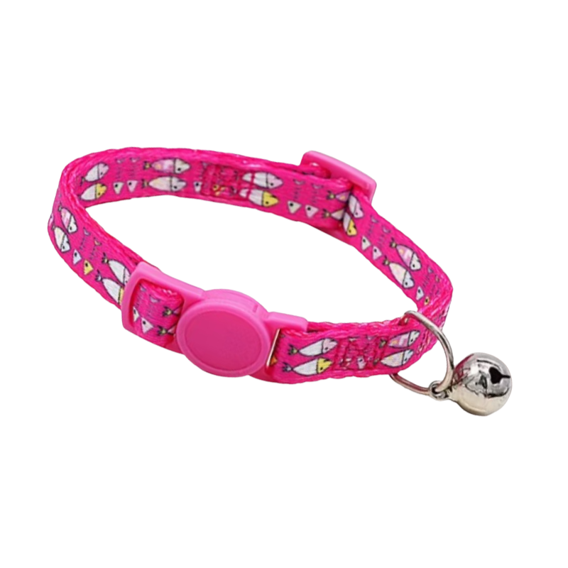 Katthalsband för katt - säkerhetslås för äventyrare