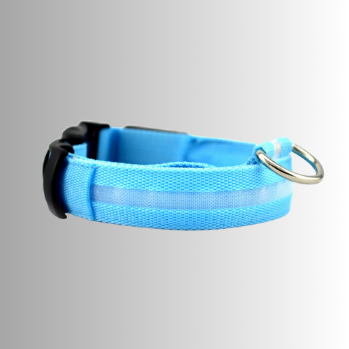 Blått halsband med inbyggd LED