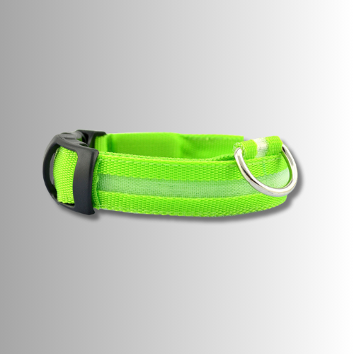 Grönt halsband med inbyggd LED