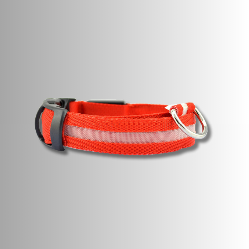Rött halsband med inbyggd LED
