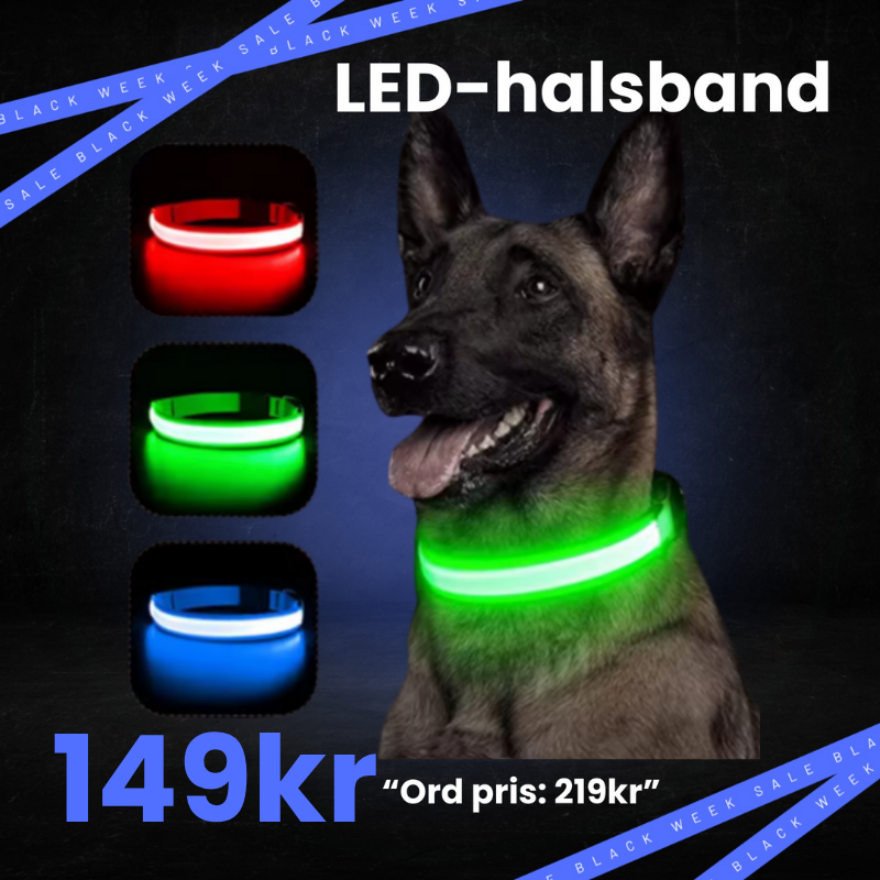 LED-halsband för Hund & Katt - BLACK WEEKS PRIS