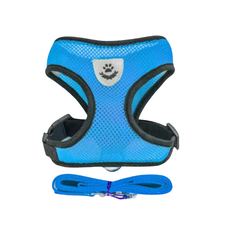 Reflekterande kattsele med koppel.