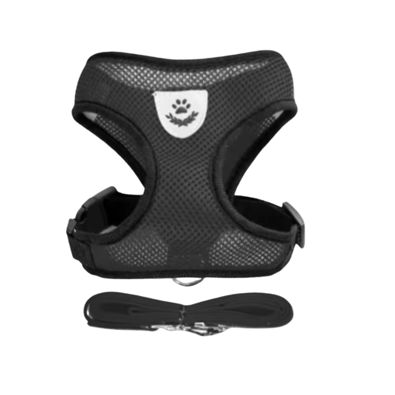 Reflekterande kattsele med koppel.