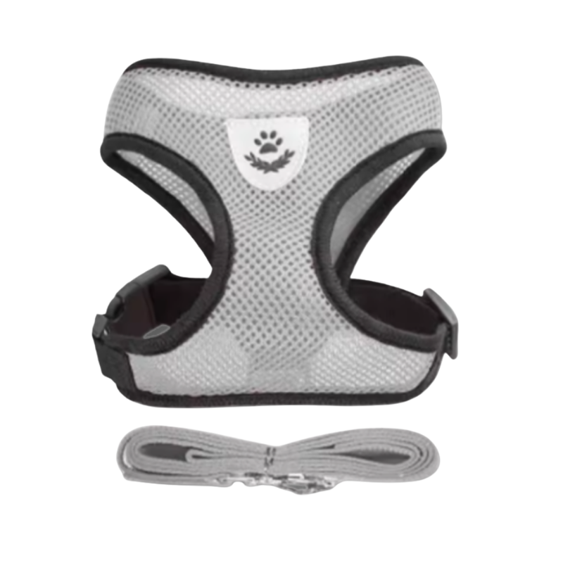 Reflekterande kattsele med koppel.