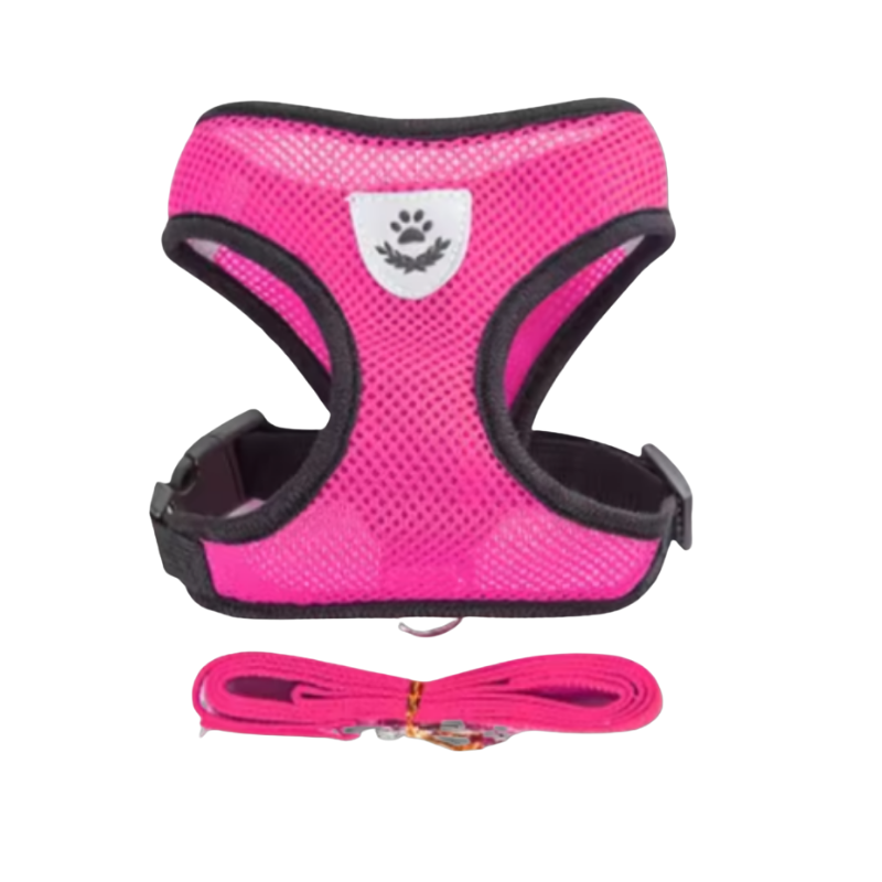 Reflekterande kattsele med koppel.