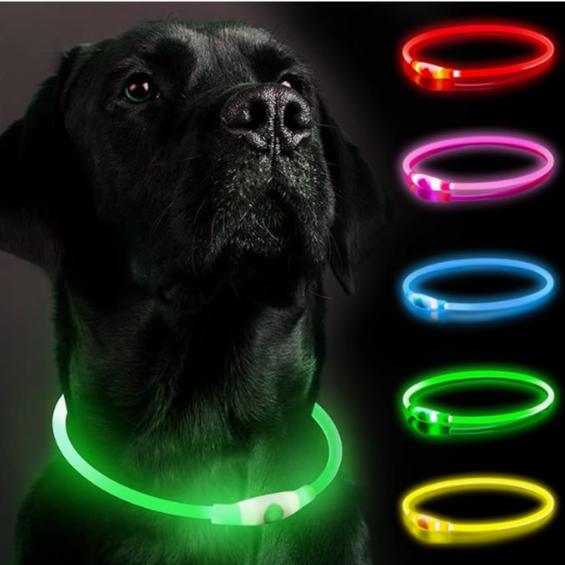 LED-Halsband uppladdningsbar.