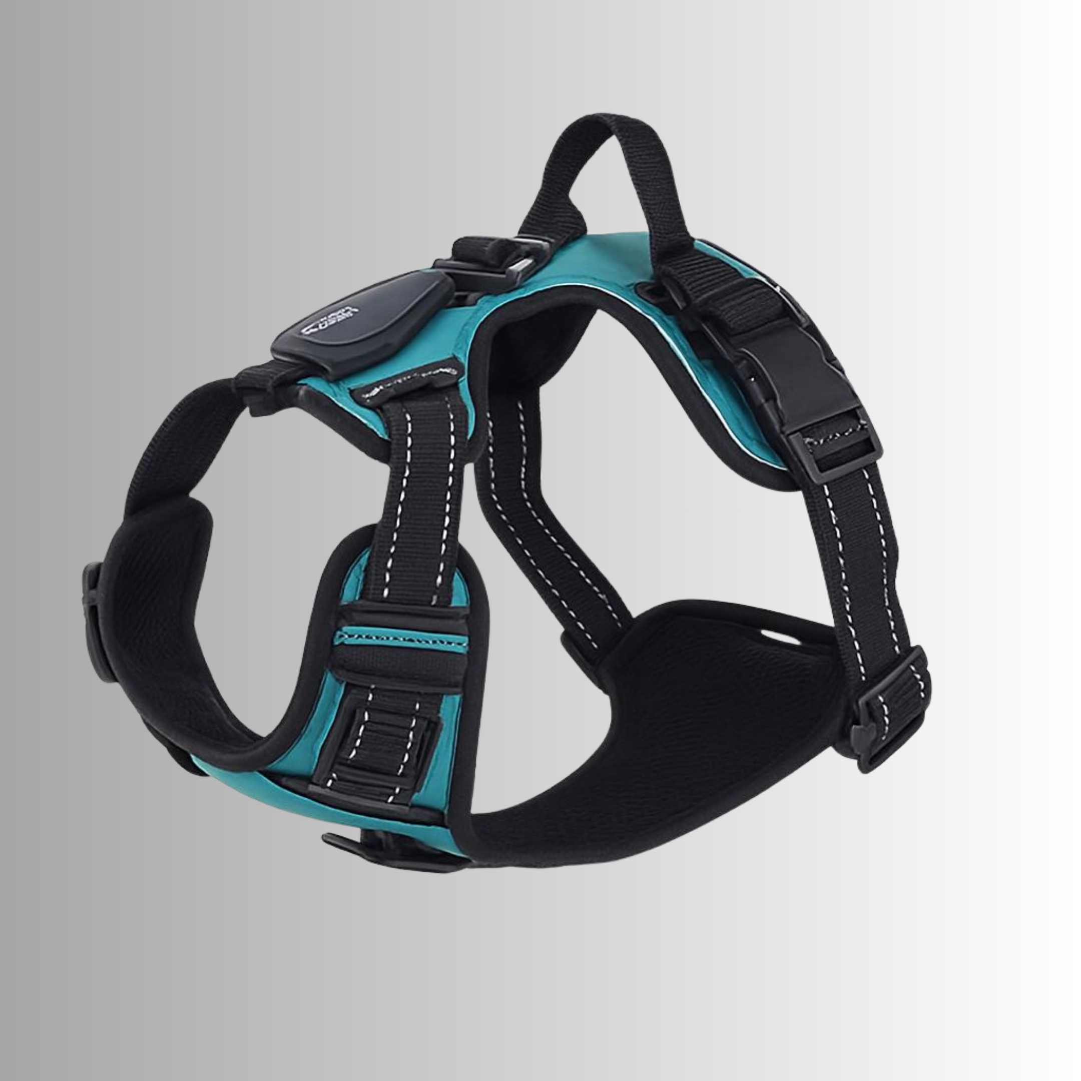 LED Sele för både Hund & Katt